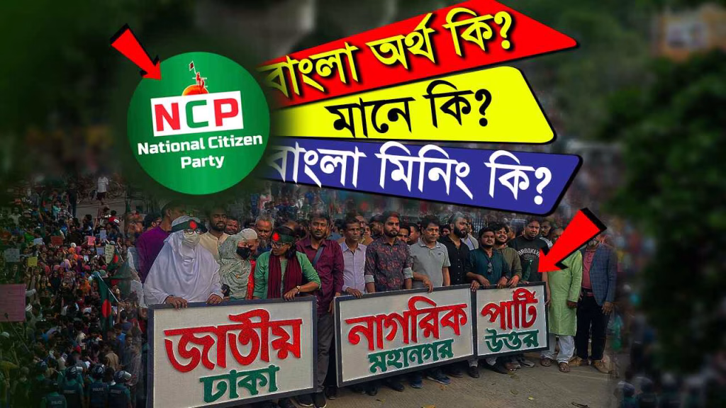 NCP মিনিং কি অর্থ ও ব্যাখ্যা (NCP Meaning Bangla)