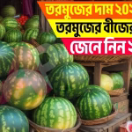 তরমুজের দাম ২০২৫