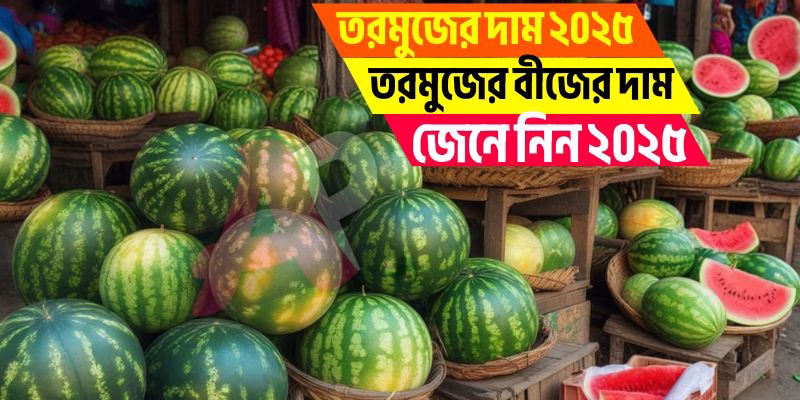 তরমুজের দাম ২০২৫