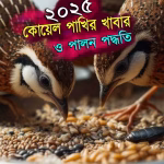 কোয়েল পাখির খাবার ও পালন পদ্ধতি ভ্যাকসিন সহ সম্পূর্ণ গাইড