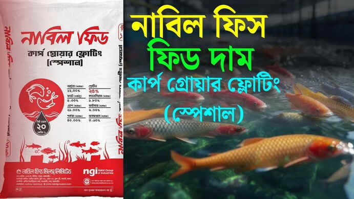 নাবিল-ফিস-ফিড-দাম-২০২৫