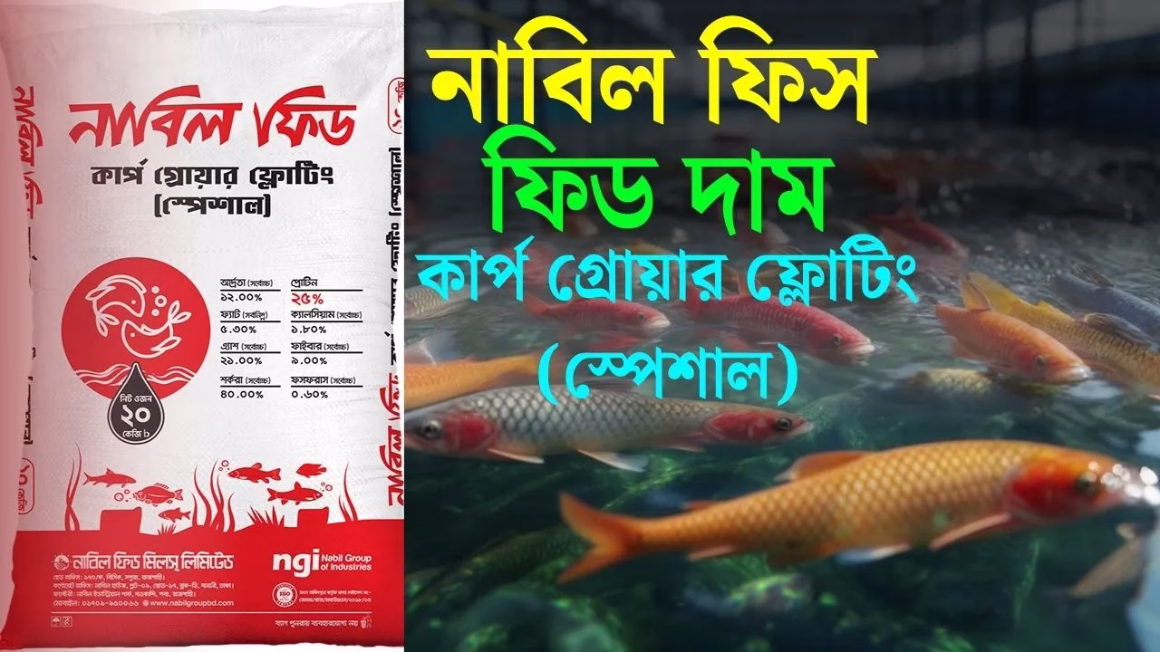 নাবিল ফিস ফিড দাম ২০২৫ কার্প গ্রোয়ার ফ্লোটিং (স্পেশাল)
