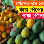 পেঁপের দাম ২০২৫ - বাংলাদেশে কাঁচা ও পাকা পেঁপের বাজারদর