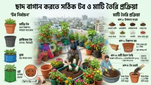 ছাদ বাগান করতে সঠিক টব ও মাটি তৈরি প্রক্রিয়া