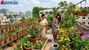ফুলে ভর্তি ছাদ বাগান করে ফুল চাষ করুন
